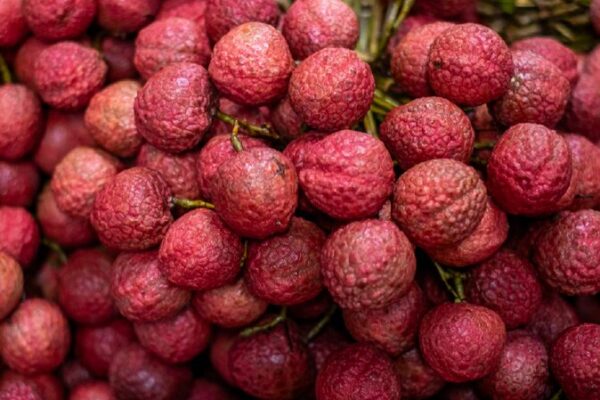 # - My News! Vietnam Lychees Sweeten Chinese Markets As Trade Ties Deepen