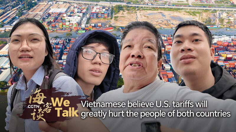 We Talk Vietnamese Believe Us Tariffs Will Hurt Both Countries Video Poster 