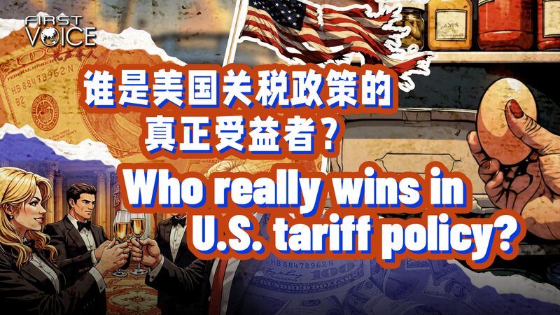 Who Really Wins in Us Tariff Policy Video Poster 