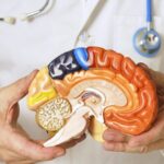 World Parkinsons Day a Quick Guide to Parkinsons 