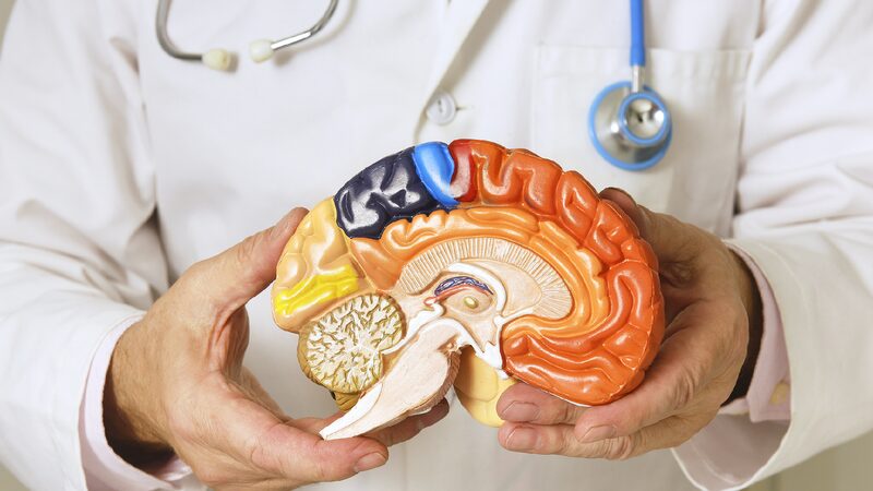 World Parkinsons Day a Quick Guide to Parkinsons 