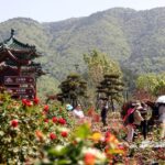 Ai Services and Flower Products Promote Local Tourism in Beijing 