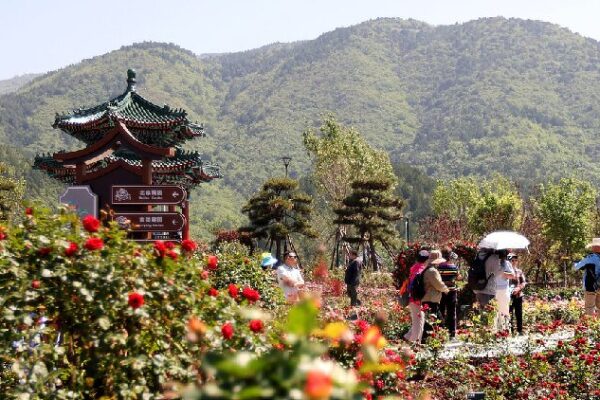 # - My News! Ai Services and Flower Products Promote Local Tourism in Beijing