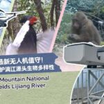 a Veteran Rangers Farewell to Maoer Mountain in Guilin 