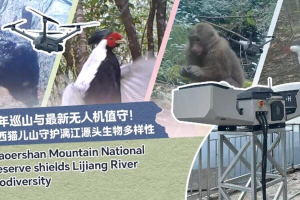 # - My News! a Veteran Rangers Farewell to Maoer Mountain in Guilin