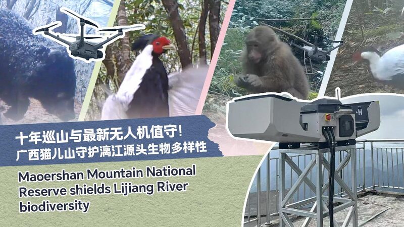 a Veteran Rangers Farewell to Maoer Mountain in Guilin 