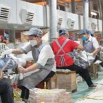 Amid Global Headwinds Chinas hanger Capital Lipu Shows Resilience 