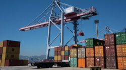 # - My News! Amid Global Shifts China celac Ties Offer Certainty and Opportunity