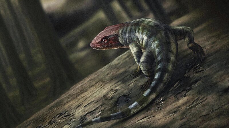 Ancient Reptile Footprints Reshape Timeline of Land Animal Evolution 