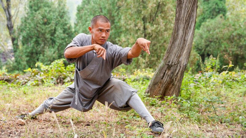 Unleashing Nature’s Power: The Art of Animal-Imitation Boxing in China Animal-imitation boxing embodies China's martial wisdom