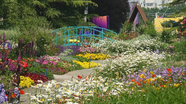 # - My News! Beijing Park Transformed into a Living Monet Painting