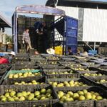 Beyond Scenery Guilins Trade Resilience 