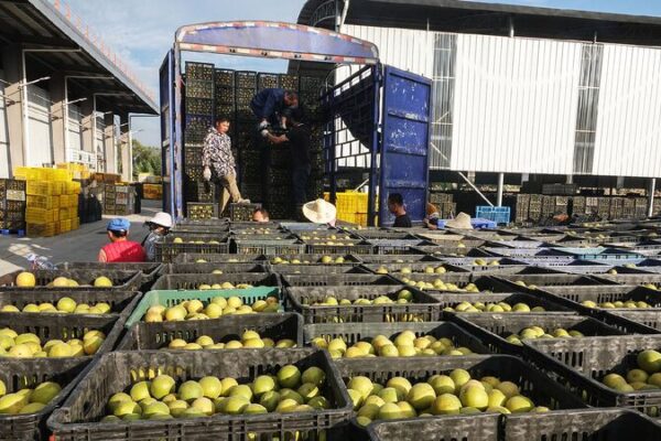 Beyond Scenery: Guilin's trade resilience