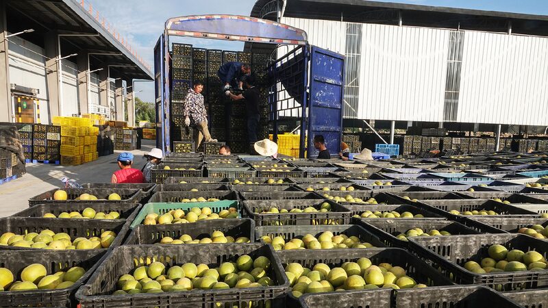 # - My News! Beyond Scenery Guilins Trade Resilience