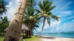 China and Pacific Island Countries Forge New Era of Marine Cooperation China, Pacific Islands countries: Path to win-win marine cooperation