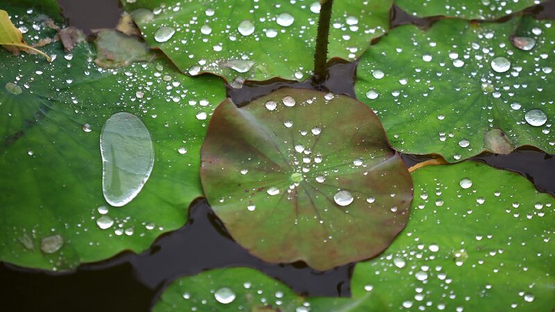 China Issues Alerts for Rainstorms Mountain Torrents 