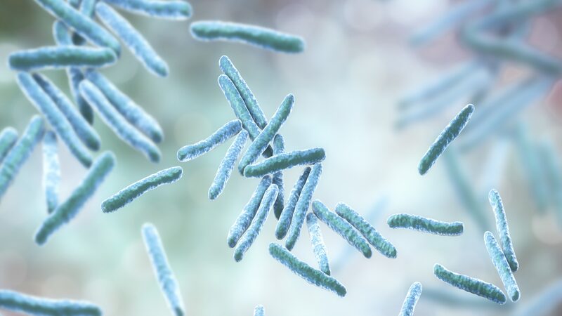 # - My News! Chinese Scientists Develop Engineered Bacteria to Degrade Pollutants