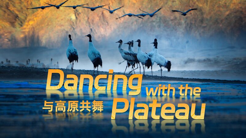 # - My News! Dancing with the Plateau Video Poster