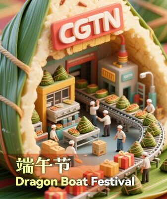 Dragon Boat Festival Video Poster 