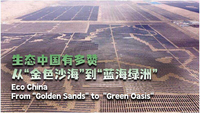 # - My News! Eco China from golden Sands to green Oasis Video Poster