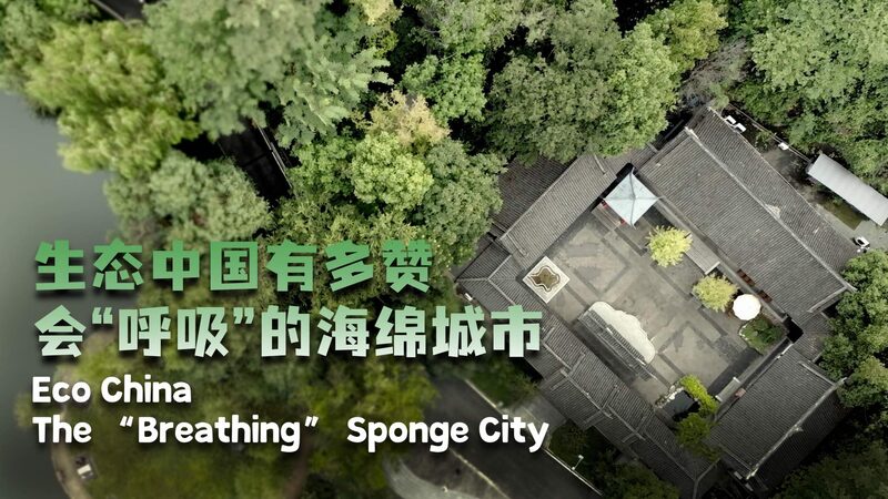 # - My News! Eco China the breathing Sponge City Video Poster