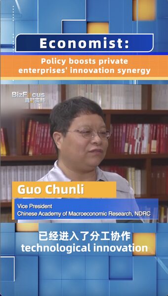 China Boosts Innovation with New Guidelines for Business Collaboration Economist: Policy boosts private enterprises' innovation synergy video poster
