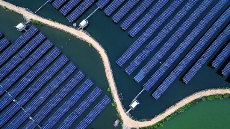 European Solar Report Hails Chinas Role in Green Energy Expansion