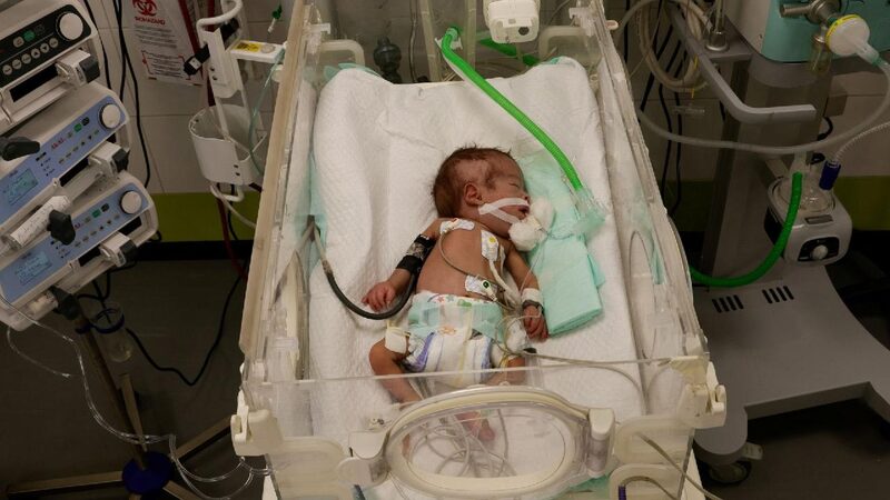 # - My News! Gaza Un Warns 14000 Babies Face Death in the Next 48 Hours