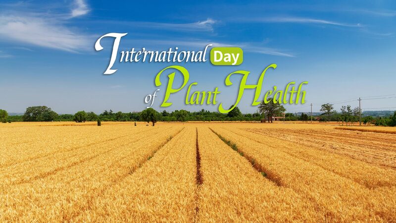 International Day of Plant Health Plant Health Matters 
