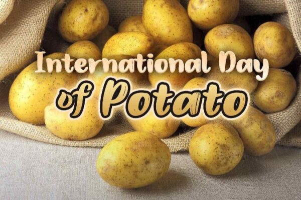 # - My News! International Day of Potato a Global Celebration of the Humble Potato