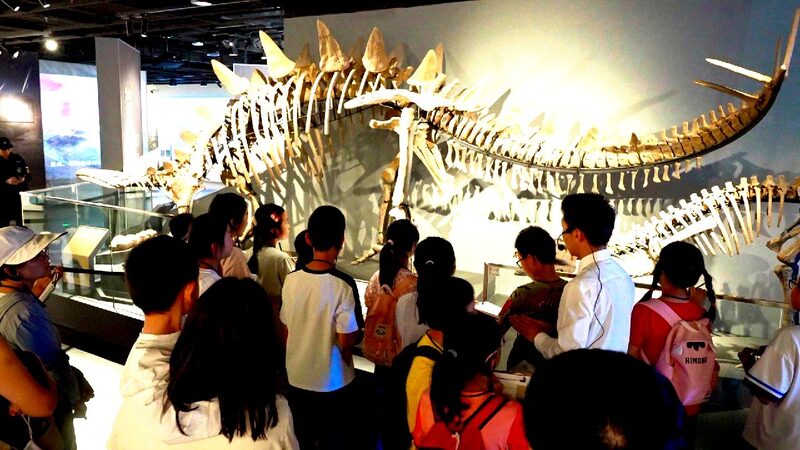 Hands-On Heritage: How Sichuan University Museum Inspires Young Minds Live: The transformation of Chinese museums