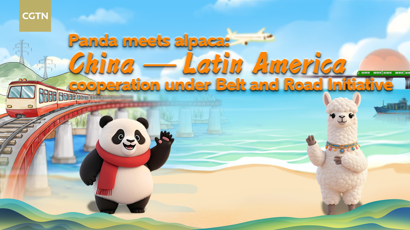 # - My News! Panda Meets Alpaca Highlights of Chinalatam Cooperation Video Poster