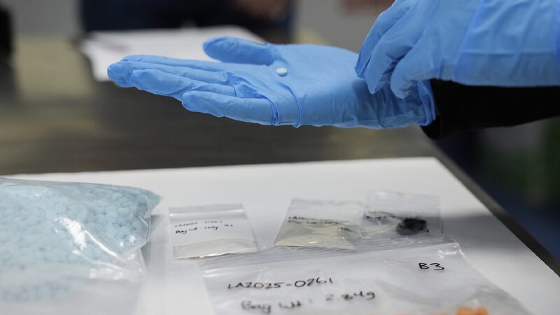 The U.S. Drug Epidemic: A Deepening Crisis Impacting Millions Questionnaire on the drug epidemic in the United States