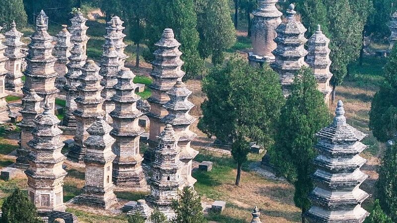 Exploring the Shaolin Pagoda Forest: China's Ancient Monastic Legacy Shaolin Pagoda Forest: Final resting place of eminent monks