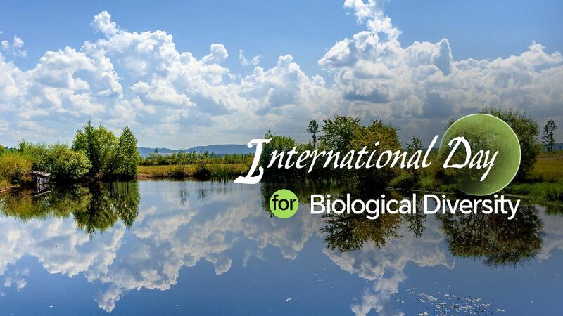 # - My News! Technological Solutions for Global Biodiversity Conservation