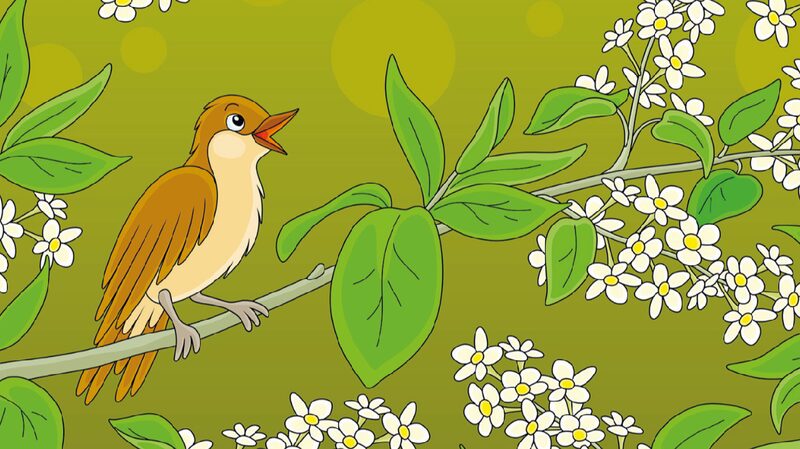 # - My News! the Nightingale a Danish Fairy Tale in a Chinese Setting