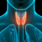 Thyroid Health Awareness Surges in China Amid Rising Diagnoses 