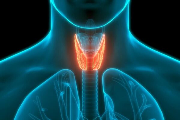 # - My News! Thyroid Health Awareness Surges in China Amid Rising Diagnoses