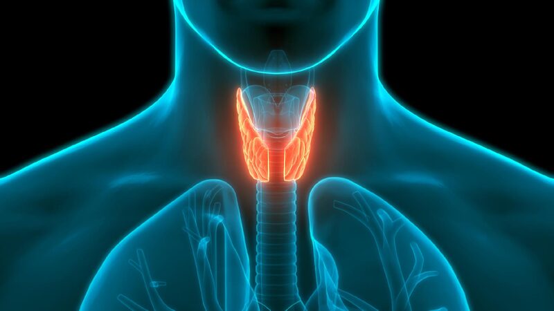 # - My News! Thyroid Health Awareness Surges in China Amid Rising Diagnoses