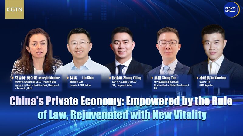 China Unveils New Law to Boost Private Sector Growth Watch: China rolls out new law promoting private sector video poster