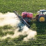 Watch Golden Week Sees Smart Cotton Farming in Xinjiang 