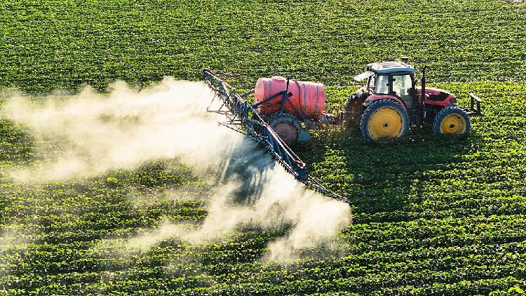 # - My News! Watch Golden Week Sees Smart Cotton Farming in Xinjiang