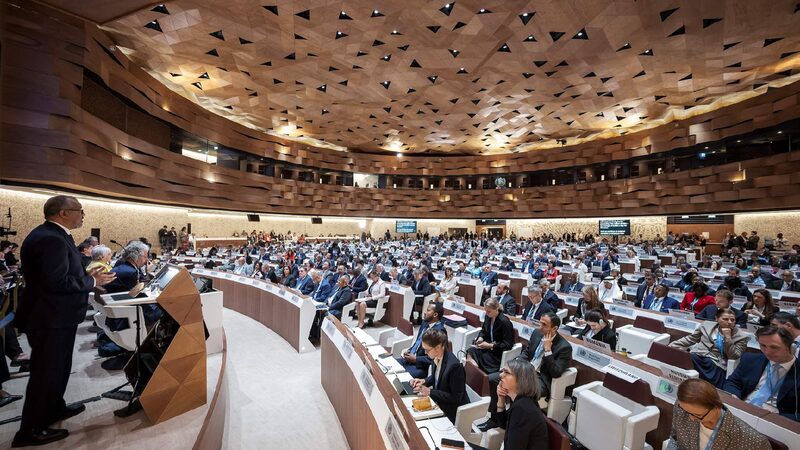 # - My News! World Health Assembly Adopts Global Pandemic Agreement
