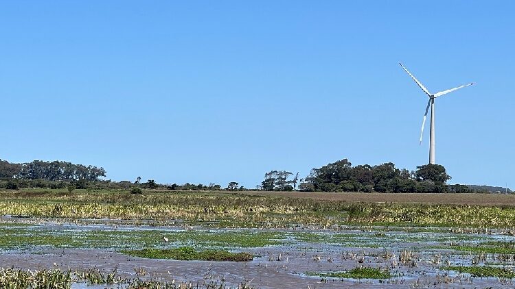 China to Strengthen Ties with Latin America and Caribbean, Says Xi Jinping Xi Jinping: China willing to strengthen cooperation with LAC countries
