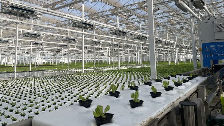 # - My News! Xi Congratulates Sco Forum on Poverty Relief Sustainable Development