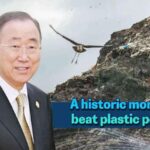 a Historic Moment to Beat Plastic Pollution 
