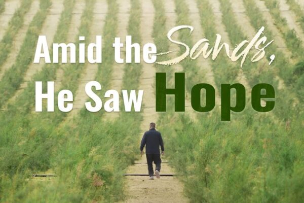 # - My News! Amid the Sands He Saw Hope Video Poster