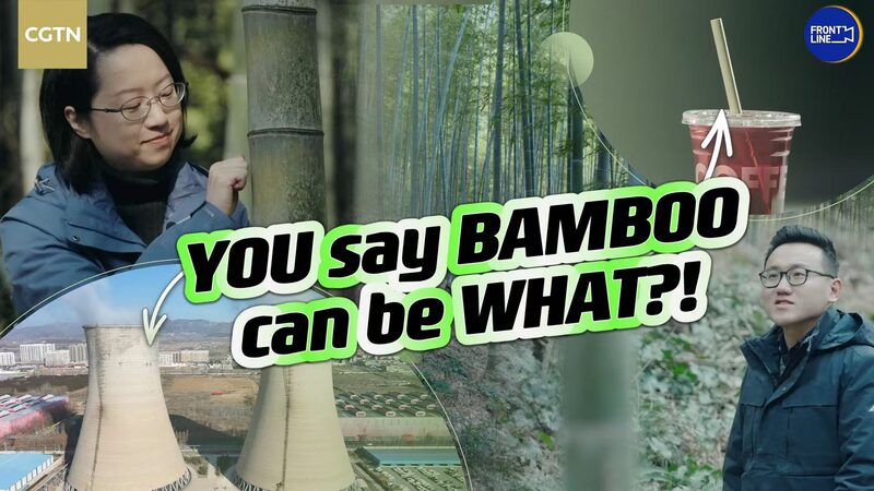 # - My News! Bamboo Instead of Plastic Chinas Ongoing Green Transition Video Poster