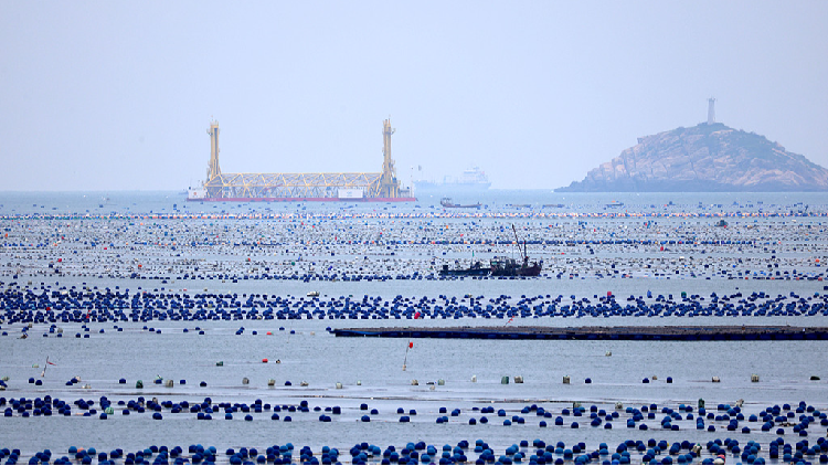 # - My News! Blue Carbon a Secret Weapon in the Fight Against Climate Change