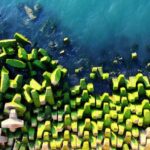 Breakwater Covered in Green Algae in Qingdao 